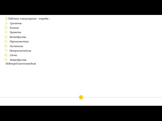 2. Подкласс плацетарные – отряды : Сумчатые Хищные Приматы Китообразные Парнокопытные Ластоногие