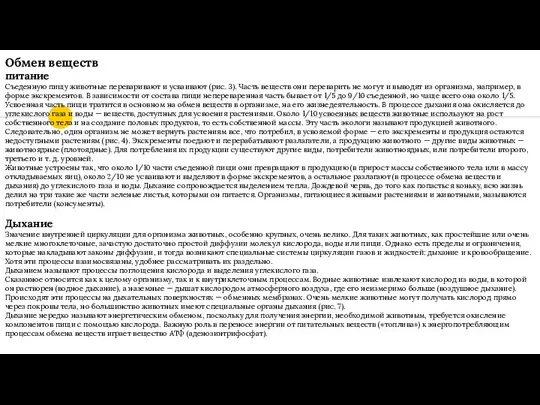 Обмен веществ питание Съеденную пищу животные переваривают и усваивают (рис. 3). Часть