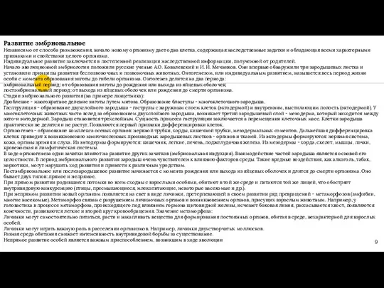 Развитие эмбриональное Независимо от способа размножения, начало новому организму дает одна клетка,