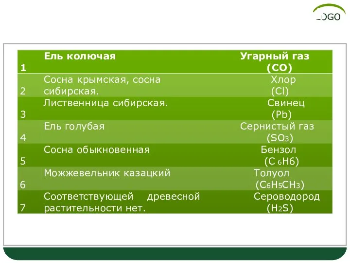 Поглотительная способность хвойной растительности