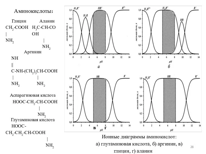 в г Ионные диаграммы аминокислот: а) глутаминовая кислота, б) аргинин, в) глицин, г) аланин Аминокислоты: