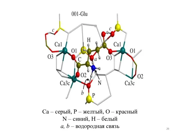 Са – серый, Р – желтый, О – красный N – синий,