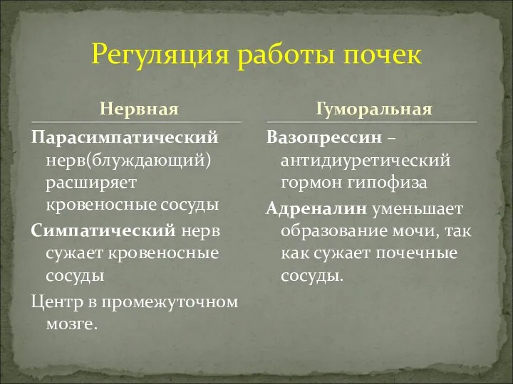 Нервная Парасимпатический нерв(блуждающий) расширяет кровеносные сосуды Симпатический нерв сужает кровеносные сосуды Центр