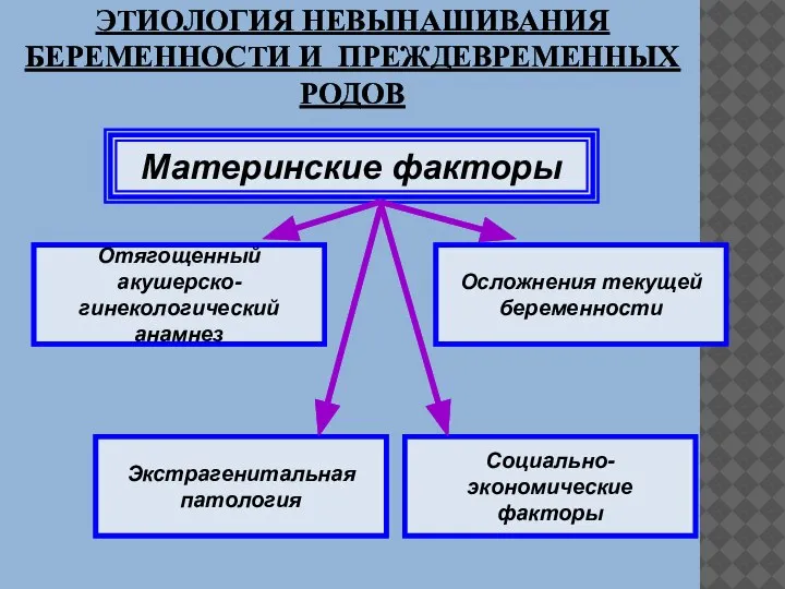 Материнские факторы Осложнения текущей беременности Социально-экономические факторы Экстрагенитальная патология Отягощенный акушерско-гинекологический анамнез