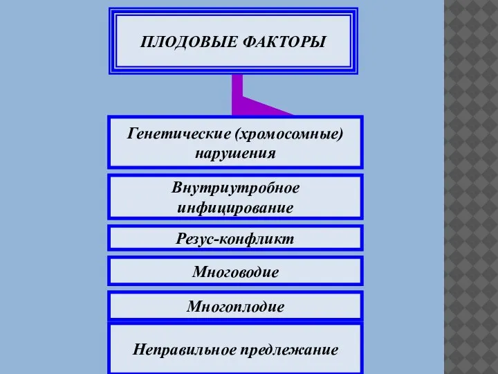 Многоплодие Неправильное предлежание Резус-конфликт Многоводие Внутриутробное инфицирование Генетические (хромосомные) нарушения ПЛОДОВЫЕ ФАКТОРЫ