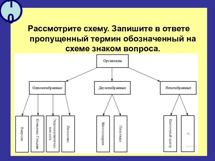 Рассмотрите схему. Запишите в ответе пропущенный термин обозначенный на схеме знаком вопроса. 10