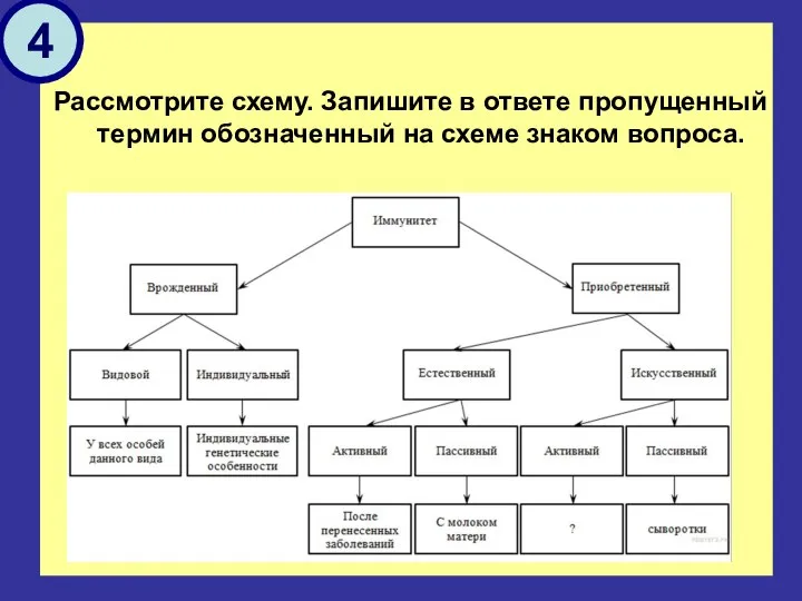 Рассмотрите схему. Запишите в ответе пропущенный термин обозначенный на схеме знаком вопроса. 4