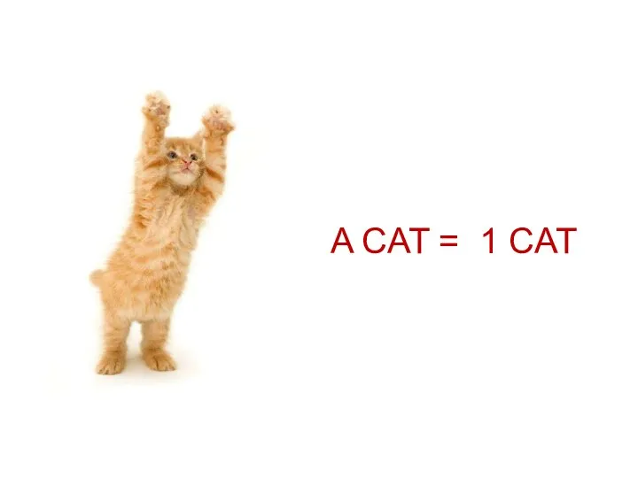 A CAT = 1 CAT