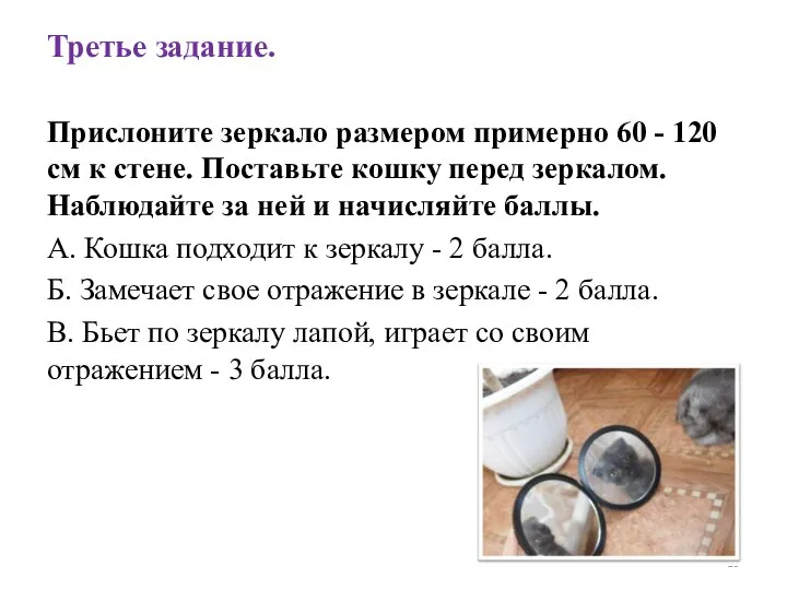 Третье задание. Прислоните зеркало размером примерно 60 - 120 см к стене.