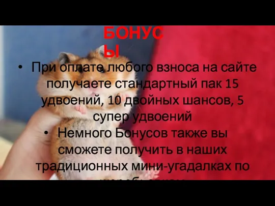 БОНУСЫ При оплате любого взноса на сайте получаете стандартный пак 15 удвоений,