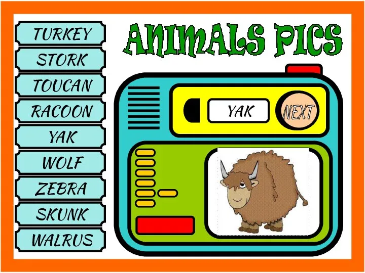 TURKEY STORK TOUCAN RACOON YAK WOLF ZEBRA SKUNK WALRUS NEXT YAK