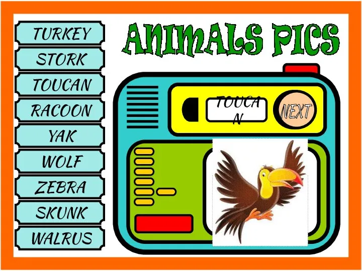 TURKEY STORK TOUCAN RACOON YAK WOLF ZEBRA SKUNK WALRUS NEXT TOUCAN