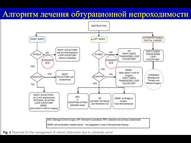 Алгоритм лечения обтурационной непроходимости