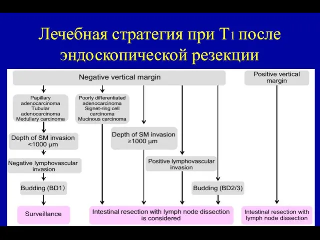 Лечебная стратегия при Т1 после эндоскопической резекции