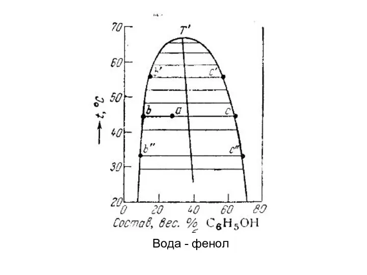 Вода - фенол