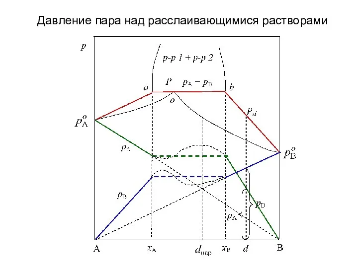 Давление пара над расслаивающимися растворами