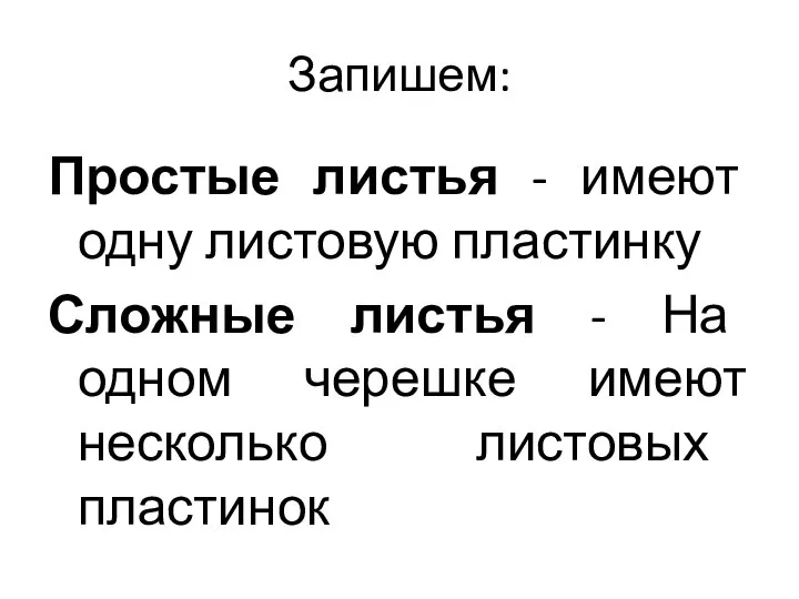 Запишем: Простые листья - имеют одну листовую пластинку Сложные листья - На