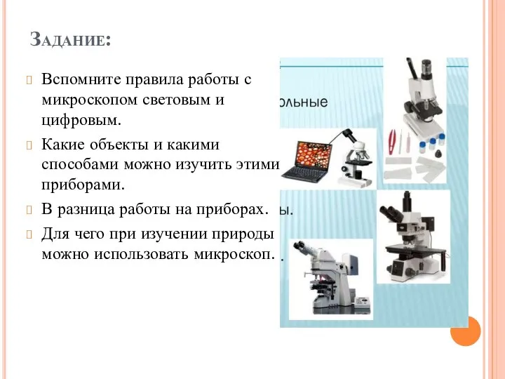 Задание: Вспомните правила работы с микроскопом световым и цифровым. Какие объекты и