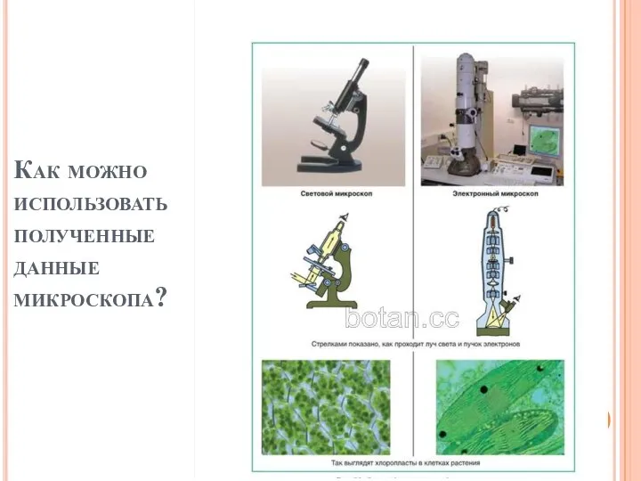 Как можно использовать полученные данные микроскопа?