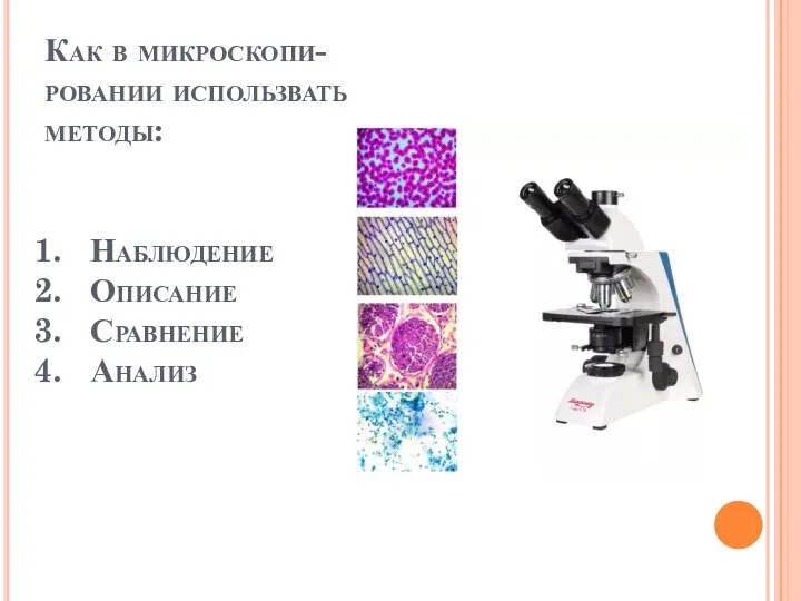 Как в микроскопи-ровании использвать методы: Наблюдение Описание Сравнение Анализ