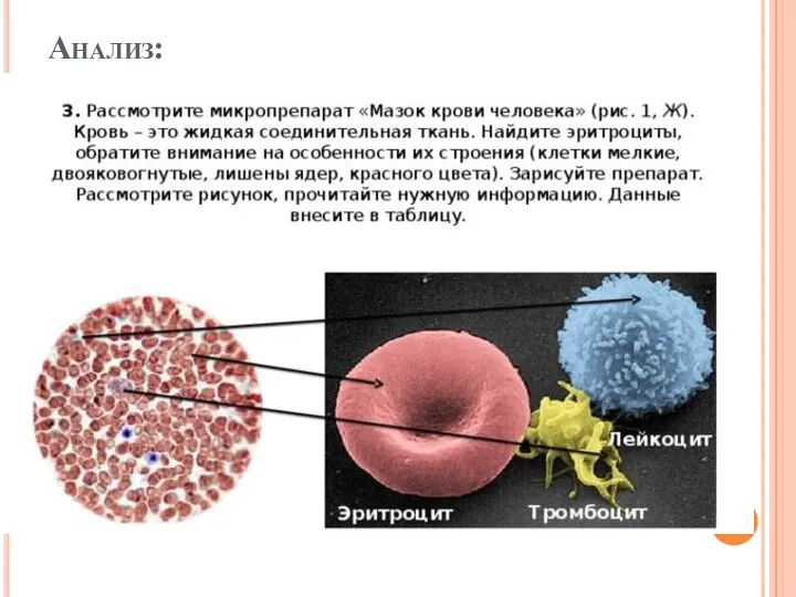 Анализ: