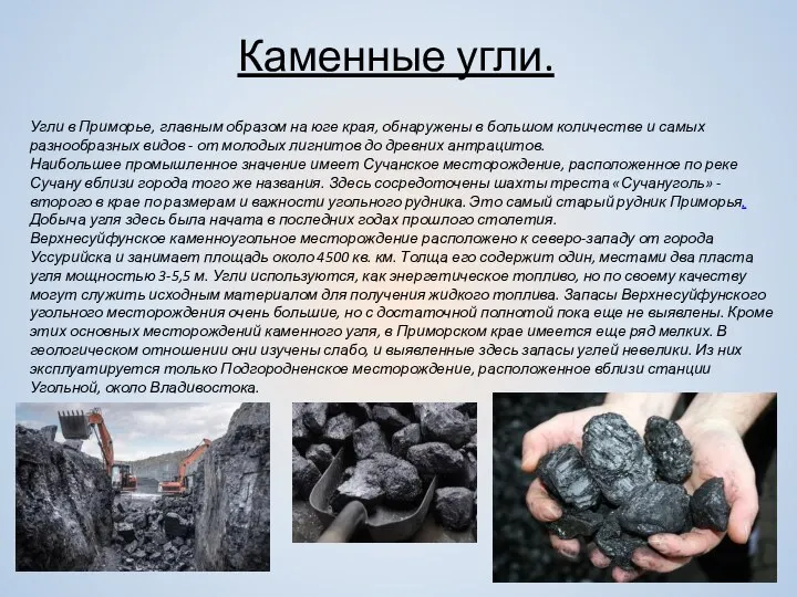 Каменные угли. Угли в Приморье, главным образом на юге края, обнаружены в