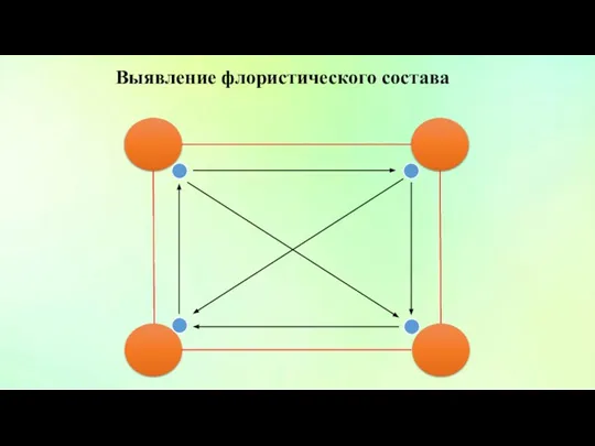 Выявление флористического состава