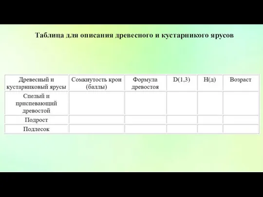 Таблица для описания древесного и кустарникого ярусов