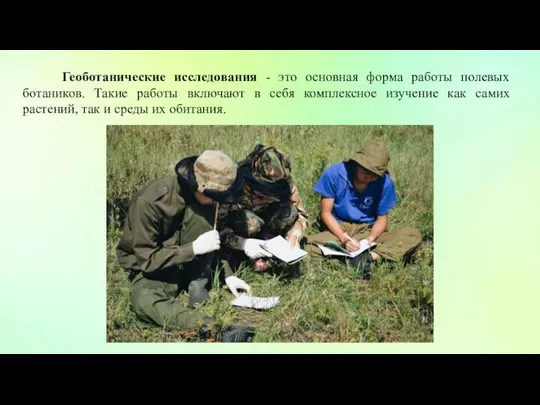 Геоботанические исследования - это основная форма работы полевых ботаников. Такие работы включают