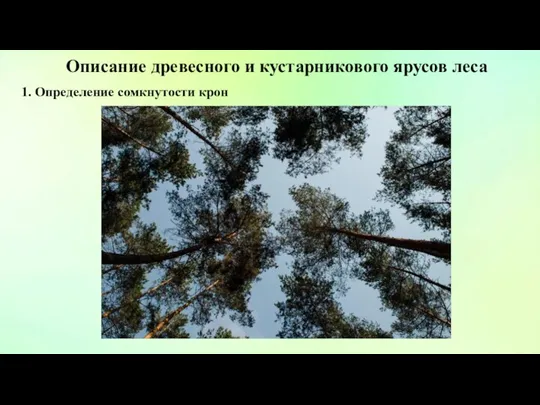 Описание древесного и кустарникового ярусов леса 1. Определение сомкнутости крон
