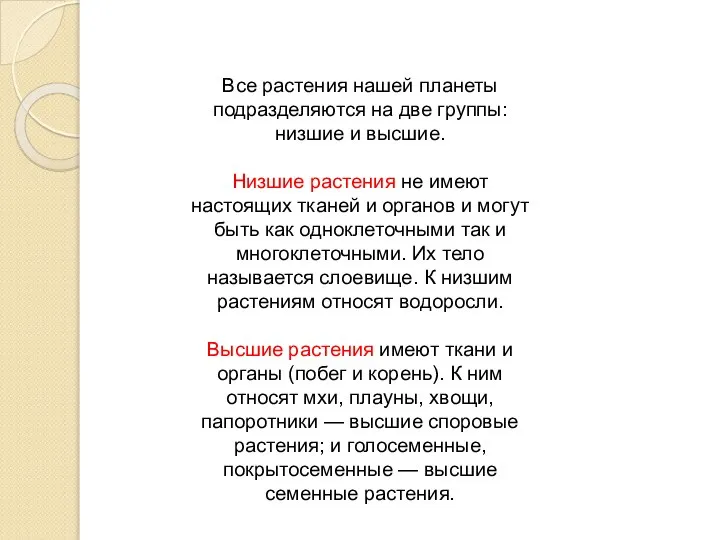 Все растения нашей планеты подразделяются на две группы: низшие и высшие. Низшие