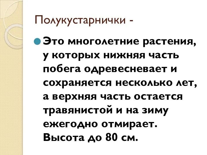 Полукустарнички - Это многолетние растения, у которых нижняя часть побега одревесневает и