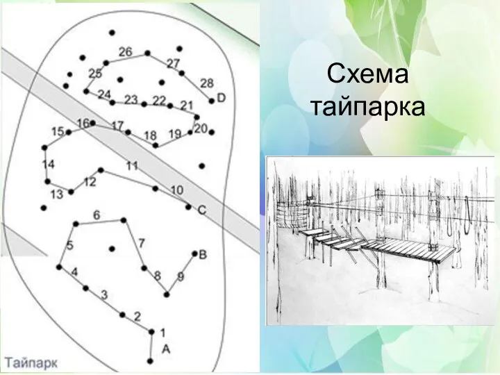 Схема тайпарка