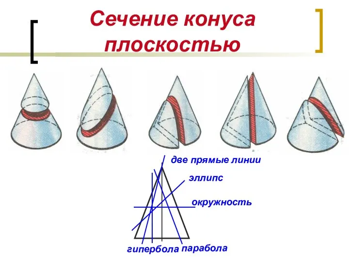 Сечение конуса плоскостью окружность эллипс гипербола две прямые линии парабола