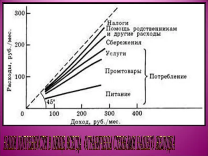 НАШИ ПОТРЕБНОСТИ В ПИЩЕ ВСЕГДА ОГРАНИЧЕНЫ СТЕНКАМИ НАШЕГО ЖЕЛУДКА