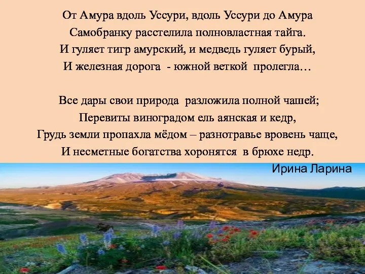 От Амура вдоль Уссури, вдоль Уссури до Амура Самобранку расстелила полновластная тайга.