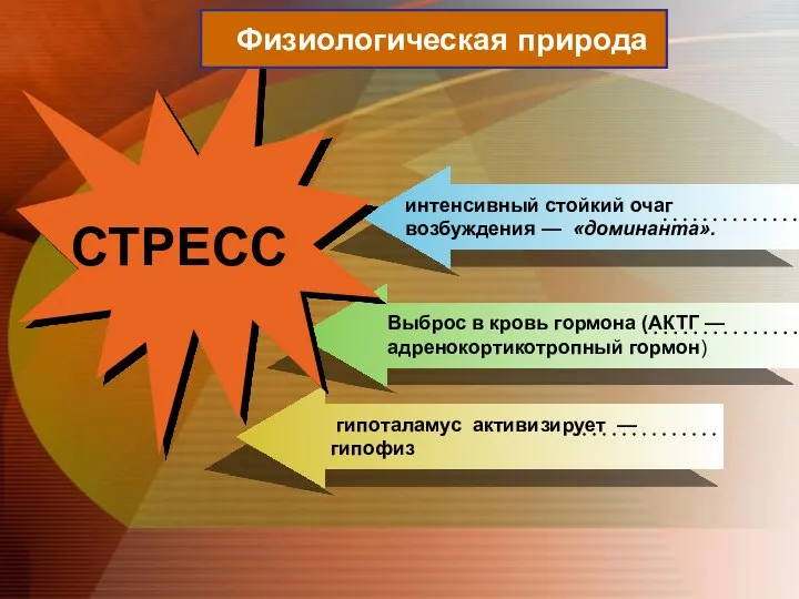 интенсивный стойкий очаг возбуждения — «доминанта». Выброс в кровь гормона (АКТГ —