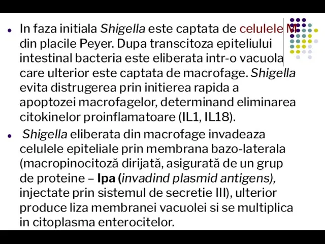 In faza initiala Shigella este captata de celulele M din placile Peyer.