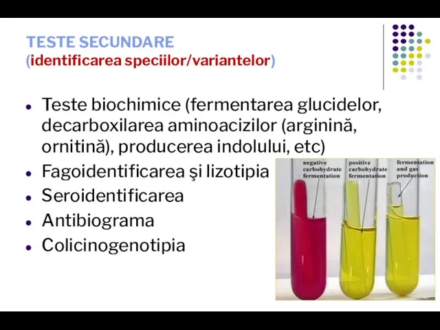 TESTE SECUNDARE (identificarea speciilor/variantelor) Teste biochimice (fermentarea glucidelor, decarboxilarea aminoacizilor (arginină, ornitină),