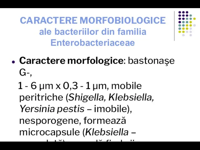 CARACTERE MORFOBIOLOGICE ale bacteriilor din familia Enterobacteriaceae Caractere morfologice: bastonaşe G-, 1