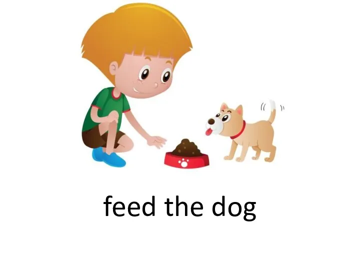 feed the dog