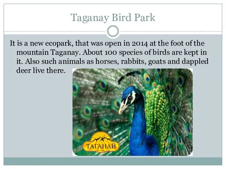 Taganay Bird Park It is a new ecopark, that was open in