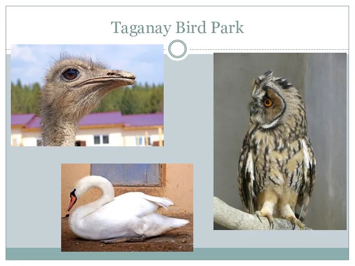 Taganay Bird Park