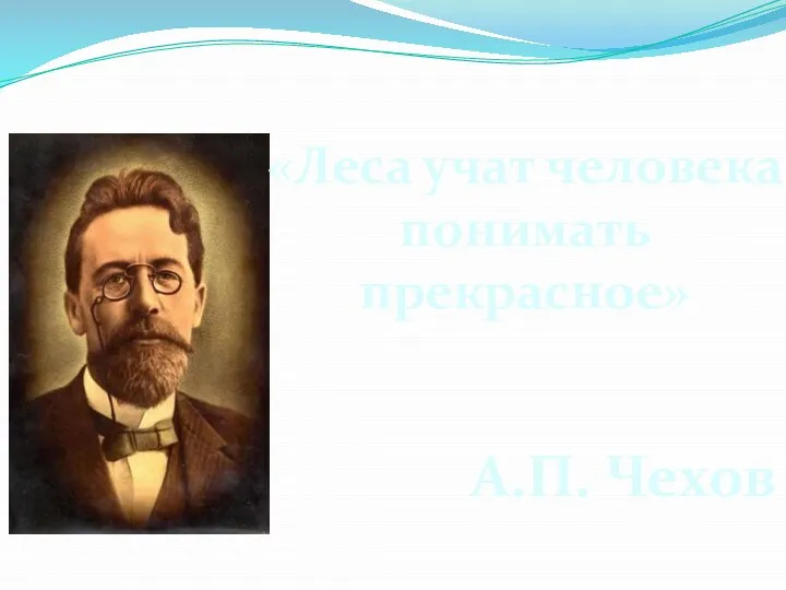 «Леса учат человека понимать прекрасное» А.П. Чехов