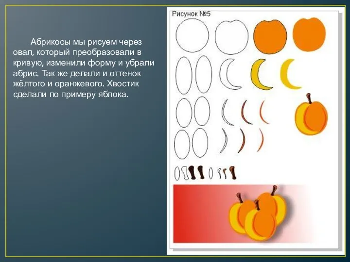 Абрикосы мы рисуем через овал, который преобразовали в кривую, изменили форму и