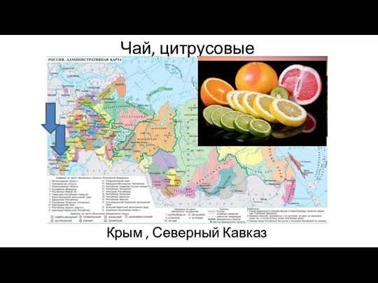 Чай, цитрусовые Крым , Северный Кавказ