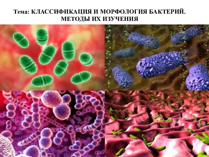 Тема: КЛАССИФИКАЦИЯ И МОРФОЛОГИЯ БАКТЕРИЙ. МЕТОДЫ ИХ ИЗУЧЕНИЯ