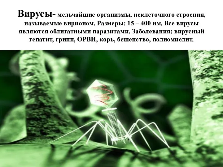 Вирусы- мельчайшие организмы, неклеточного строения, называемые вирионом. Размеры: 15 – 400 нм.