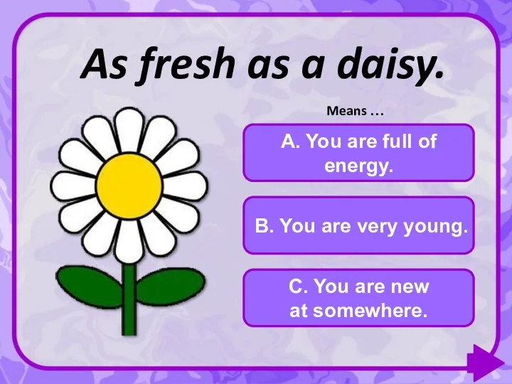 As fresh as a daisy. C. You are new at somewhere. A.