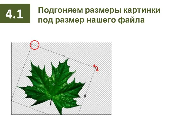 Подгоняем размеры картинки под размер нашего файла 4.1